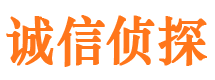 桦川侦探